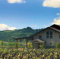 a barn in a vineyard on a sunny day