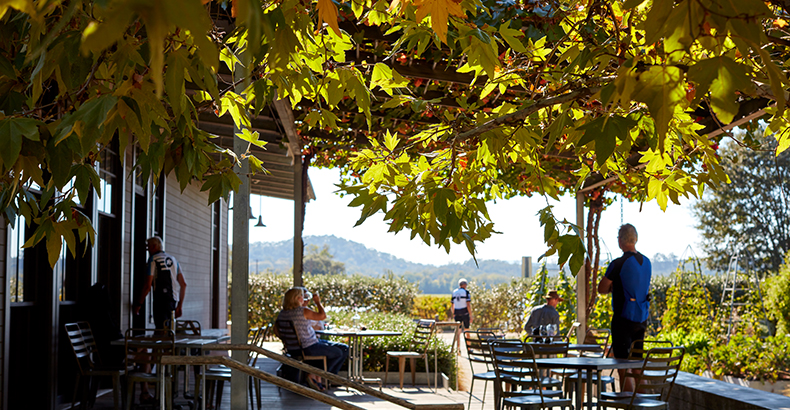 an outdoor patio looking out to a vineyard with people sitting in the shade and drinking wine