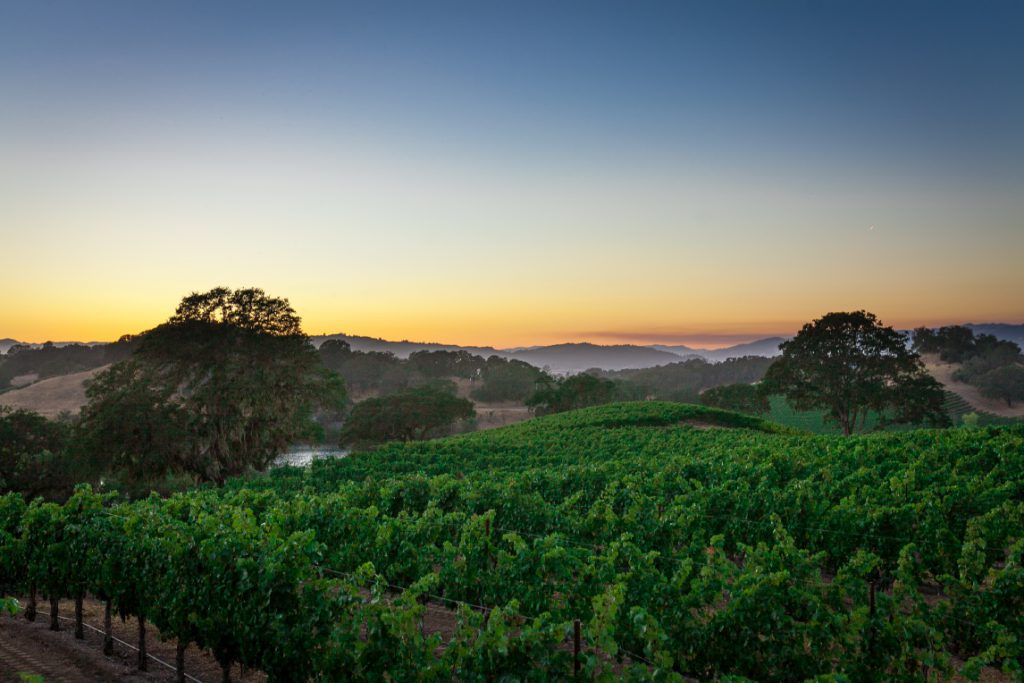 dry creek valley at sunset
