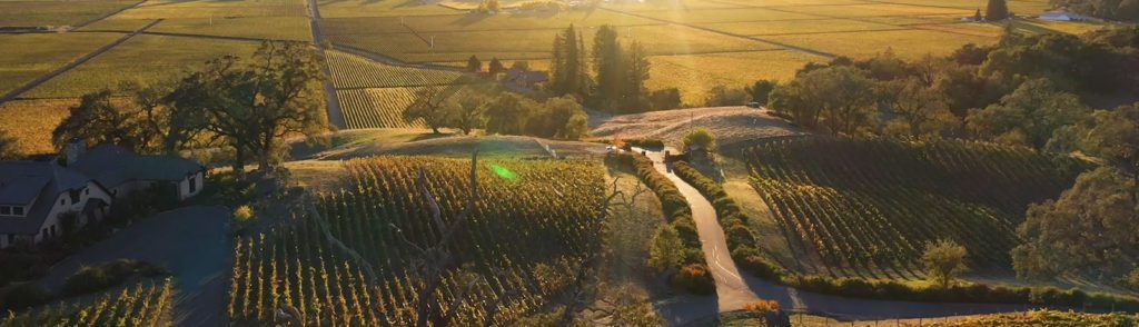 Aerial view of vineyards and a farmhouse bathed in sunset.