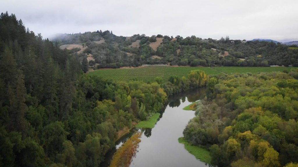 The Russian River with trees on either side and a vineyard in the background during spring.
