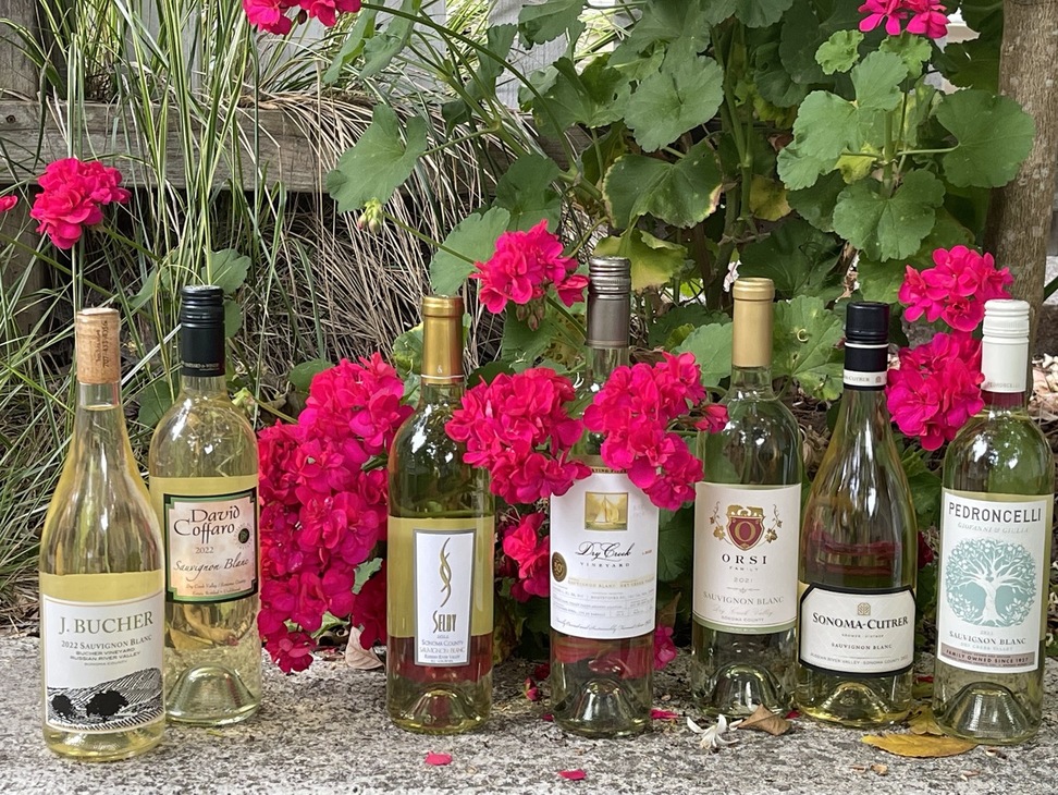 Sauvignon Blanc Wine Reviews: Flavorful Notes and Food Pairings - Wine Road