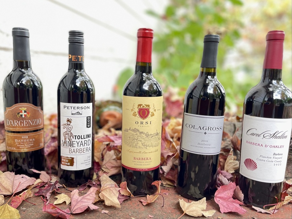 Bottles of wine displayed in fall leaves
