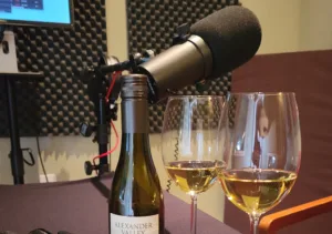 Recording studio setting with microphone, two wine glasses and a bottle of wine
